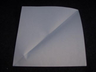 paper folding instructions